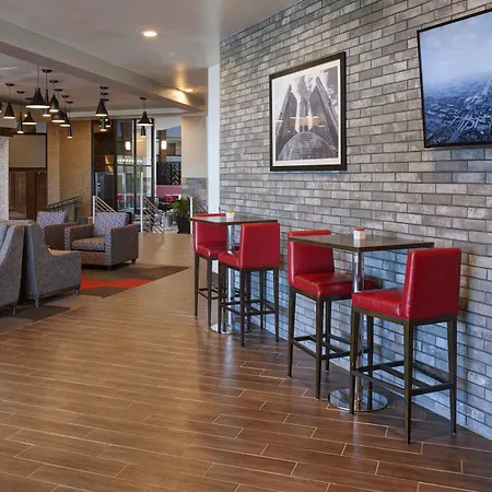Four Points By Sheraton Detroit Novi-2